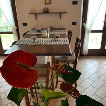 Villa Panorama *